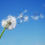 Duchenne, Wishes, More Time, Quality of Life
