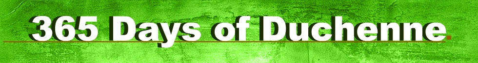 headerGREEN Stucco980x130365D